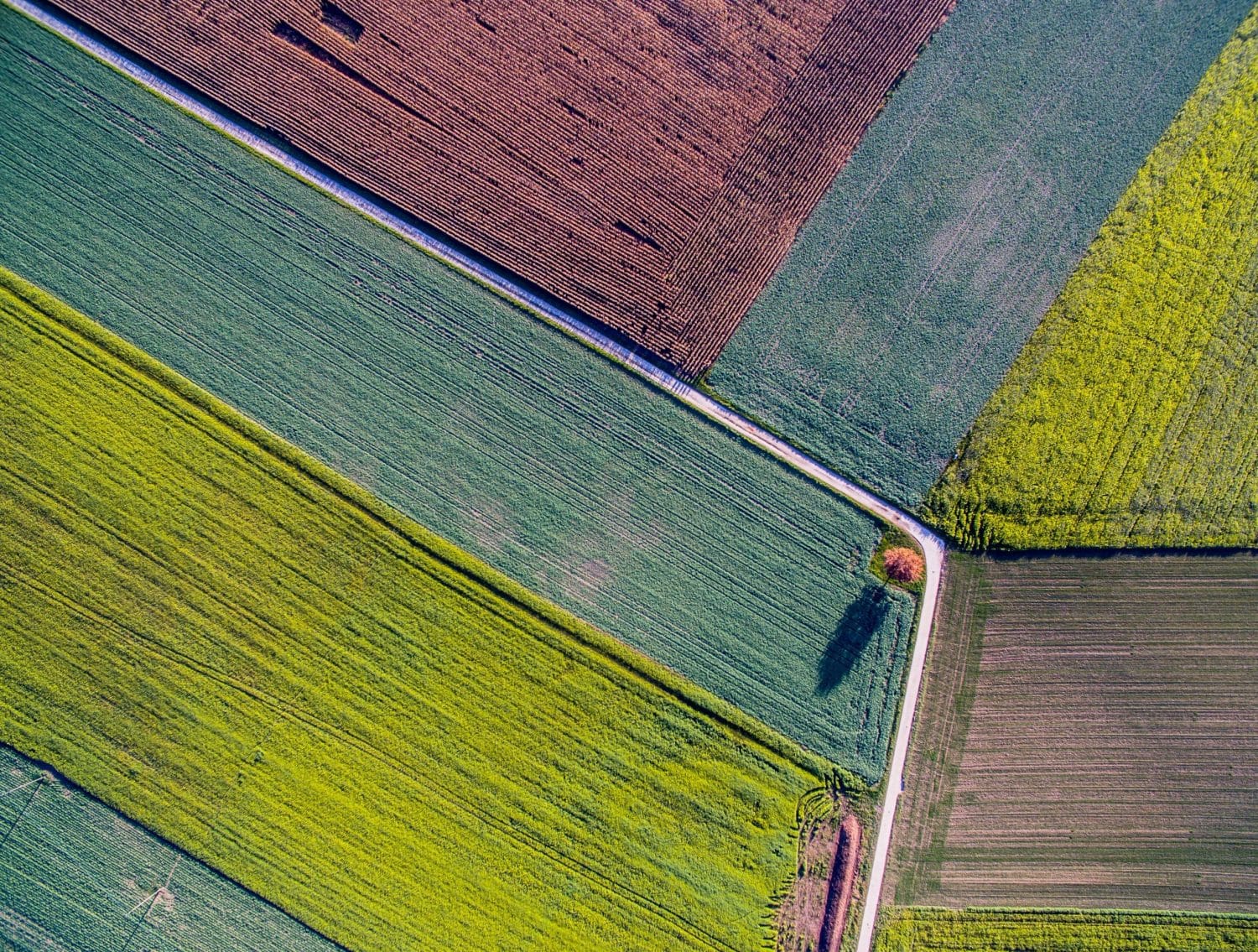 above view of fields